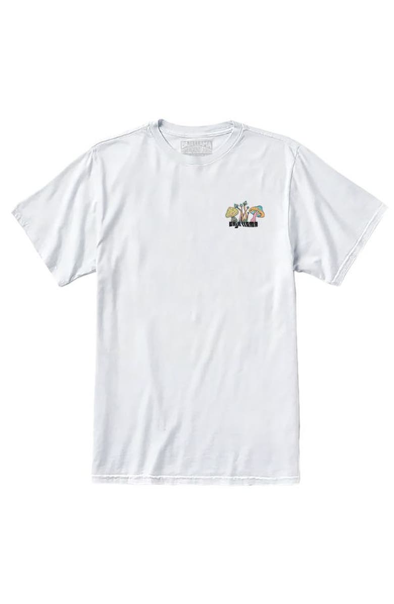 Baja Llama A TRIP OF A LIFETIME - WHITE PRIMO GRAPHIC TEE, Alternate, color, White