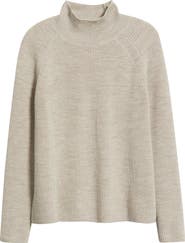 Eileen Fisher Raglan Sleeve Merino Wool Turtleneck Sweater