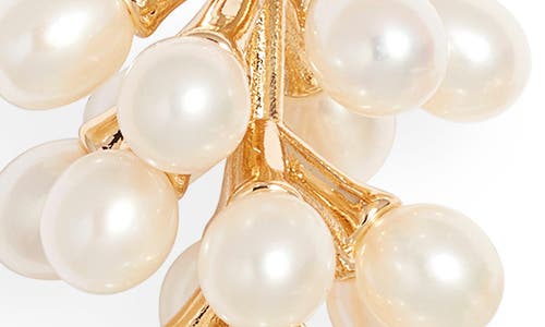Kenneth Jay Lane Freshwater Pearl Cluster Earrings In Gold