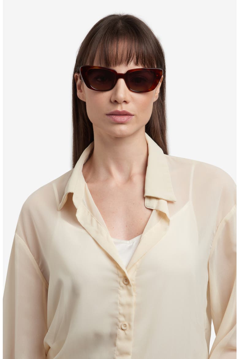 Fabia 51mm Gradient Cat Eye Sunglasses, Alternate, color, HAVANA TORTOISESHELL/ BROWN