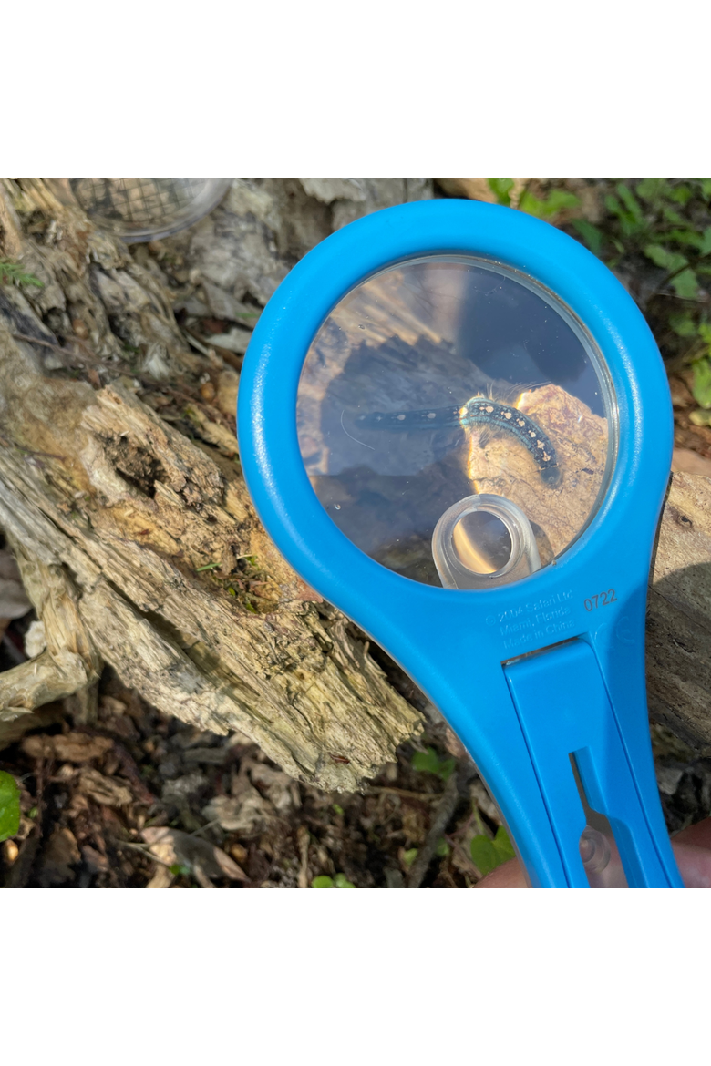 Mega-10 Magnifier, Alternate, color, No Color