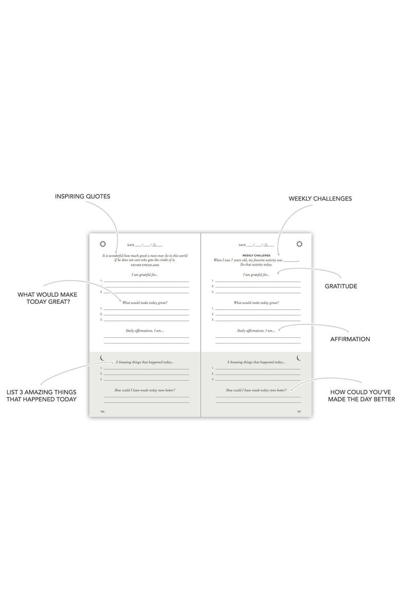 INTELLIGENT CHANGE The Five Minute Journal, Alternate, color, Oat