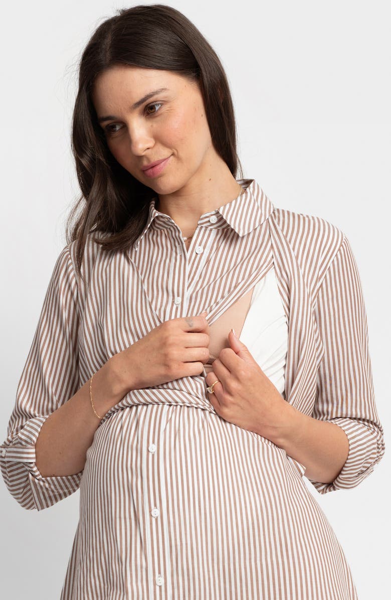 Seraphine Stripe Long Sleeve Maternity/Nursing Shirtdress, Alternate, color,