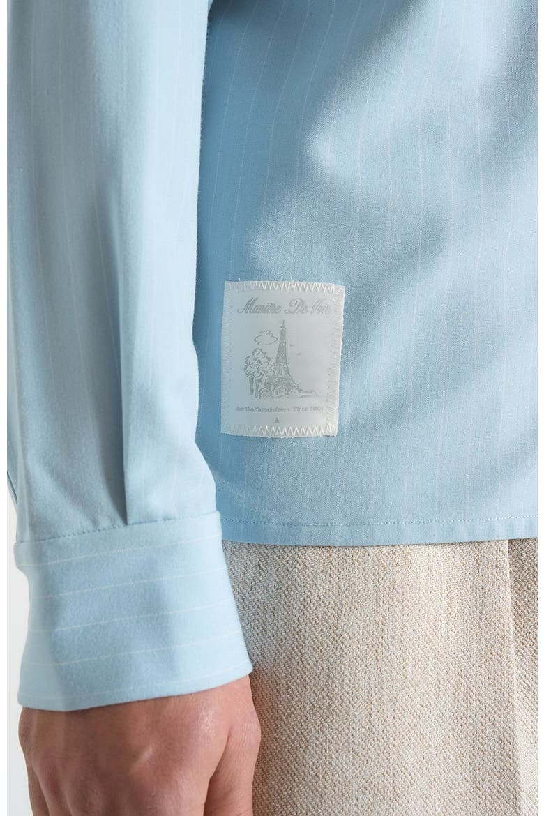 Arlo Pinstripe Cropped Long Sleeve Shirt, Alternate, color, Blue