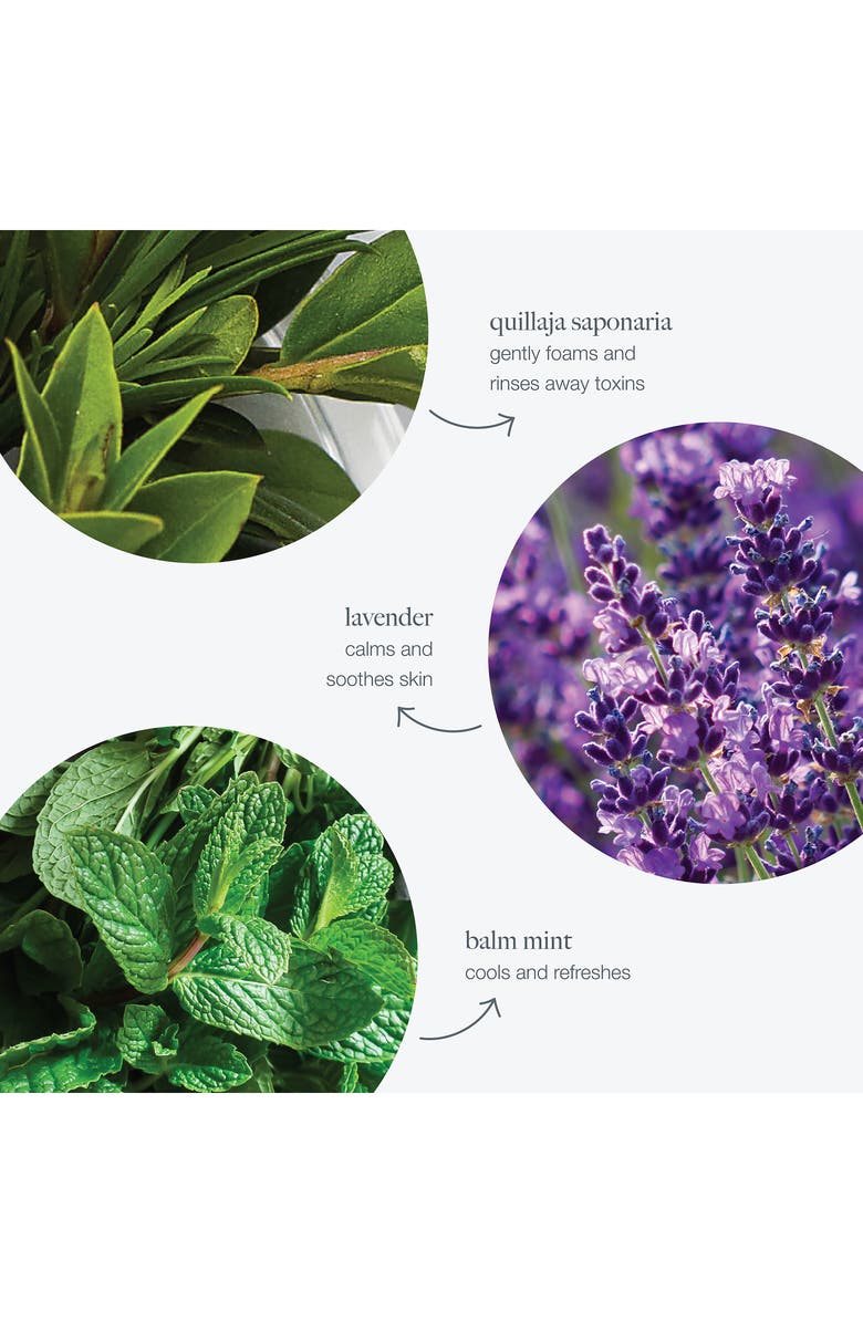 dermalogica<sup>®</sup> Special Cleansing Gel, Alternate, color, 