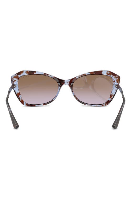 Vogue 56mm Cat Eye Sunglasses In Blue Havana