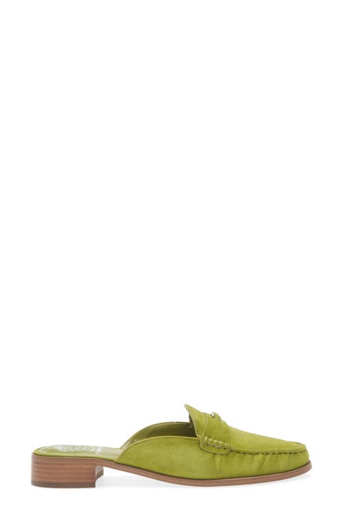 Vince Camuto Cobby Mule In Multi