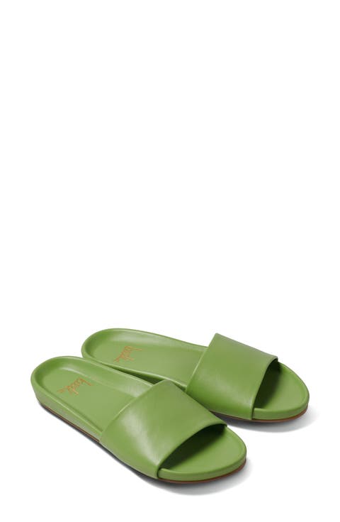 Gallito Slide Sandal (Women)