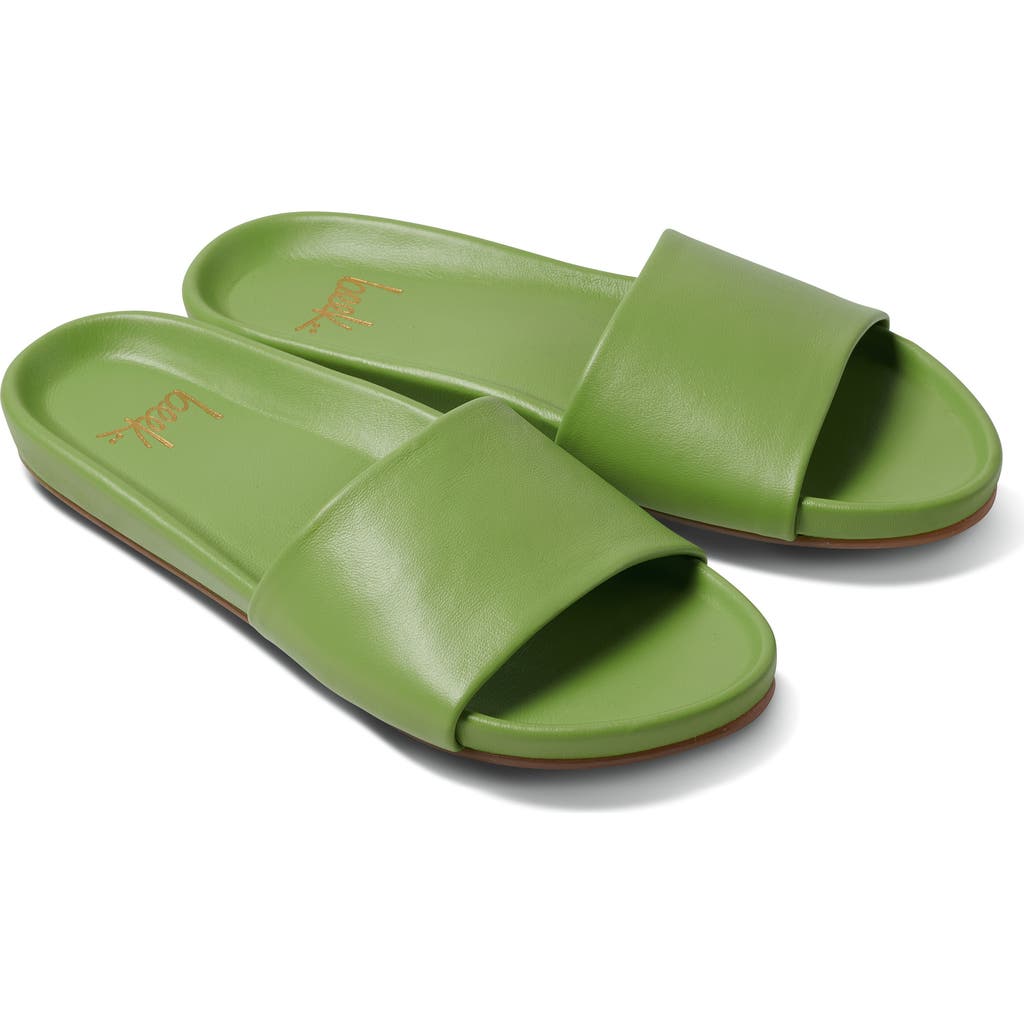 Beek Gallito Slide Sandal In Green