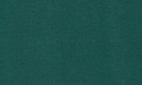 Obey Sensory Exploration Cotton Graphic T-shirt In Green