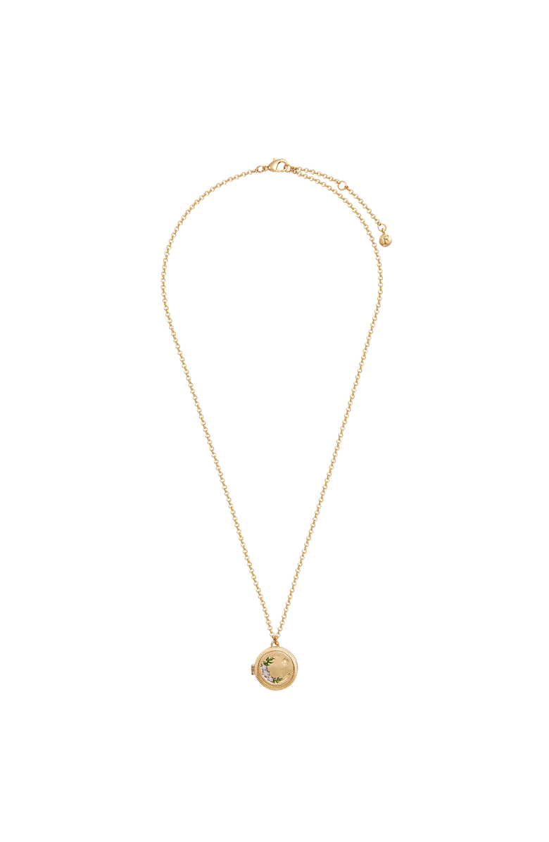 Fable England Nightshade Moon Gold Locket Chain Necklace, Alternate, color, Gold