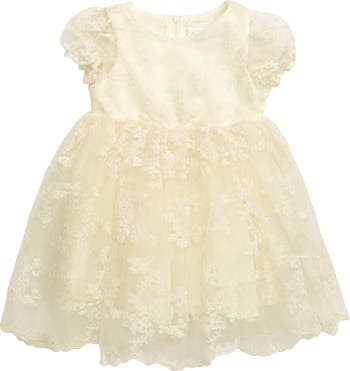 Floral Embroidered Organza Fit & Flare Dress