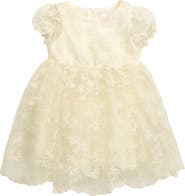 Popatu Floral Embroidered Organza Fit & Flare Dress