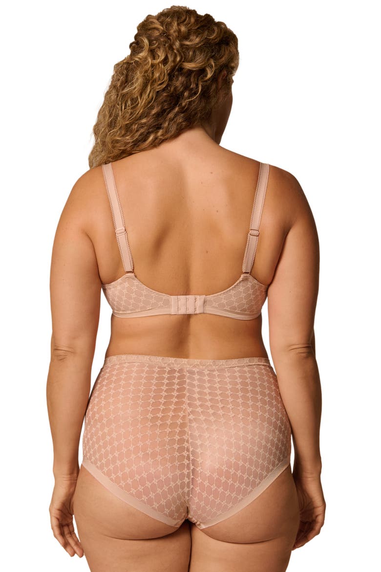 Plume Embroidered Shaping Briefs, Alternate, color, PEAU ROSE