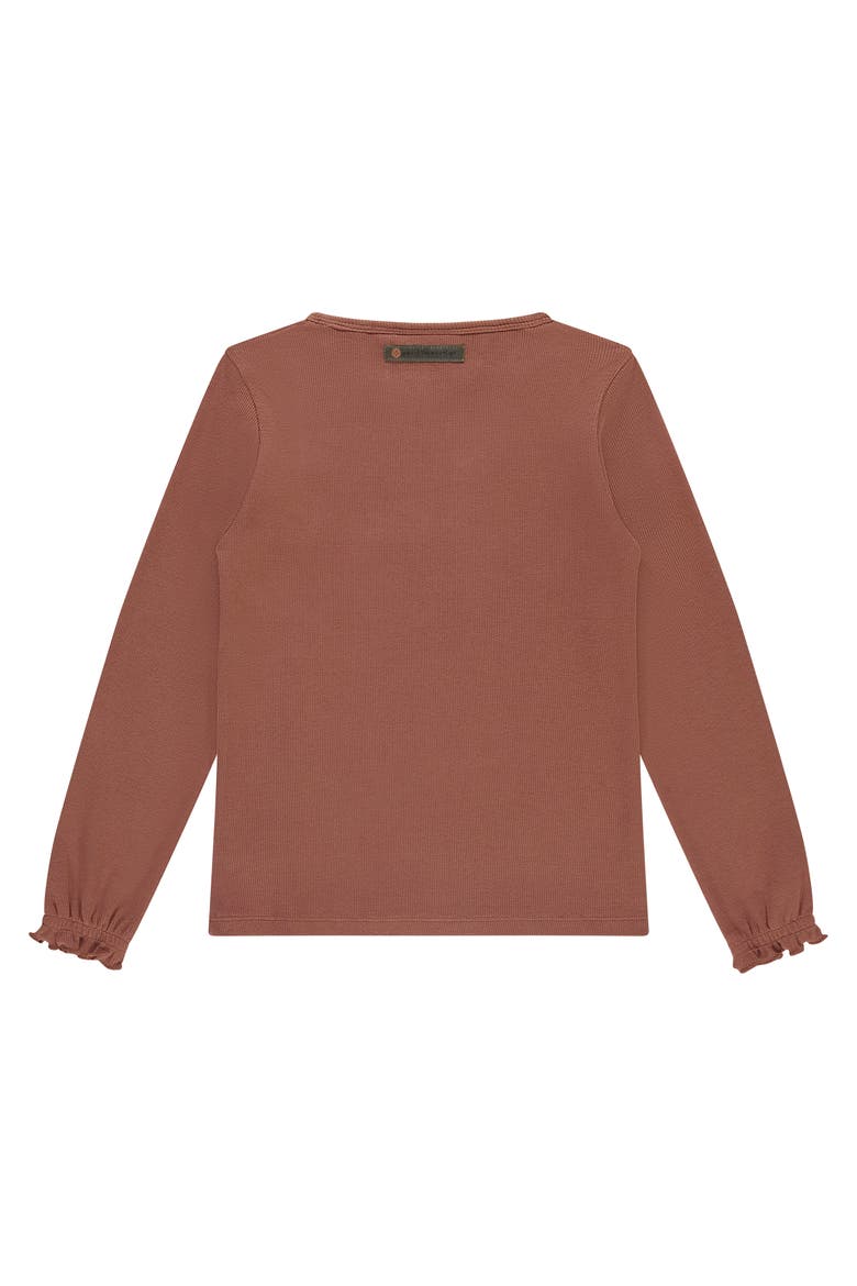 Ribbed Long Sleeve Top, Alternate, color, Canyon