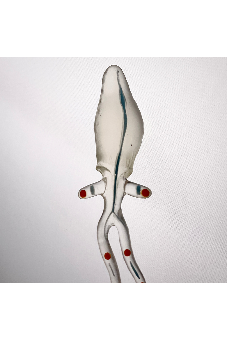 Deep Sea Creatures Toy, Alternate, color, No Color