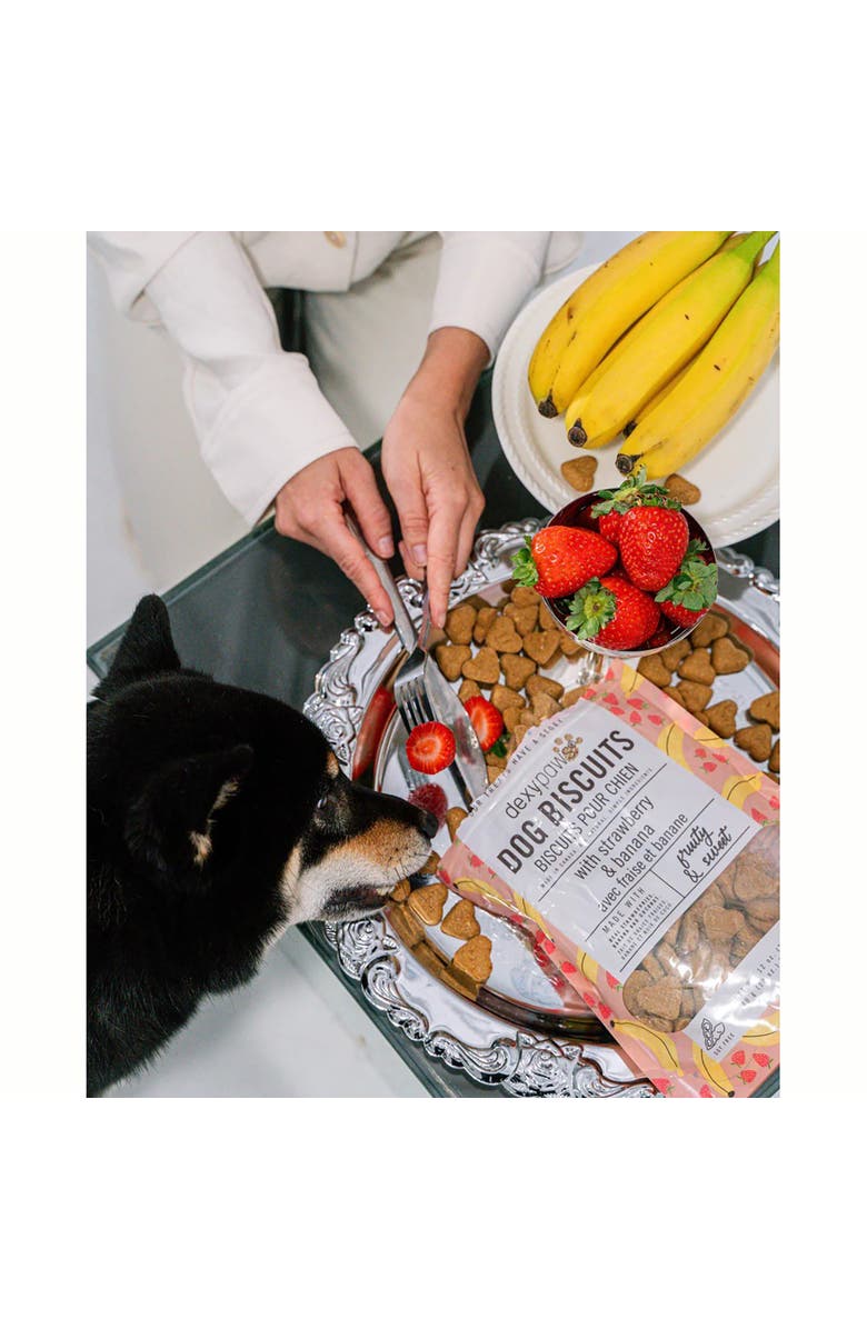 Dexypaws Strawberry, Banana & Coconut Dog Biscuits 12Oz Natural Pet Treats, Alternate, color, Brown
