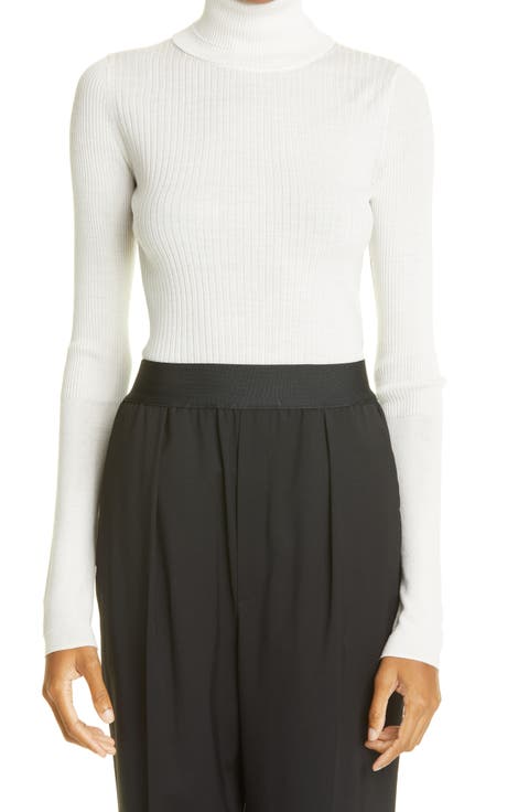 Rib Merino Wool Turtleneck Sweater