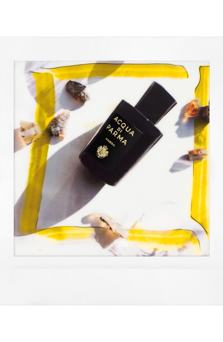 Acqua di Parma Ambra Eau de Parfum, Alternate, color, 