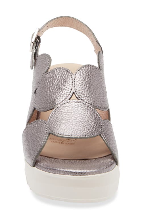 Wonders Platform Sandal In Max Plomo