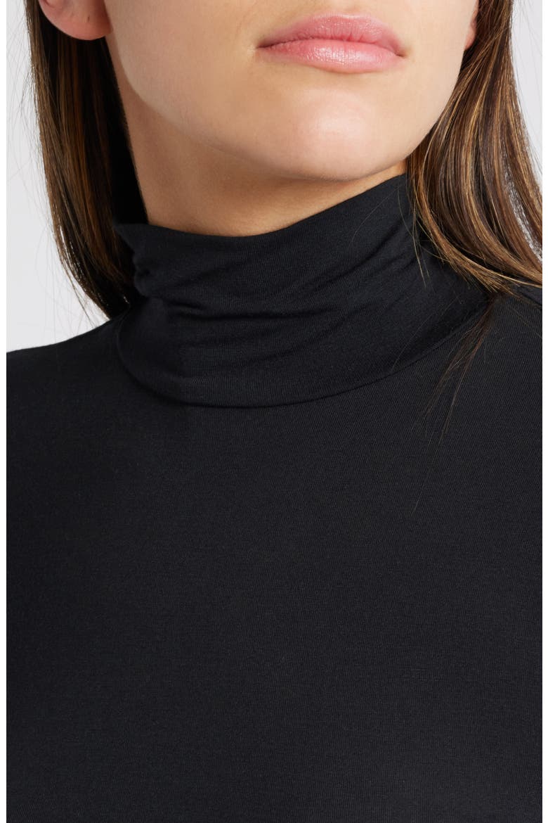 Sheer Layering Turtleneck, Alternate, color, BLACK