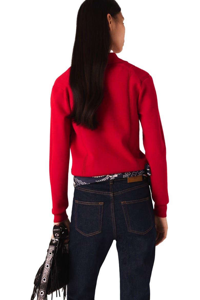 Polo collar sweater with embroidery, Alternate, color, Red