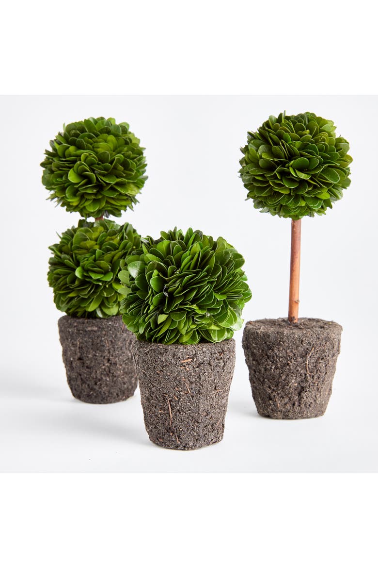 Boxwood Mini Topiary Drop-Ins Set of 3, Alternate, color, Green
