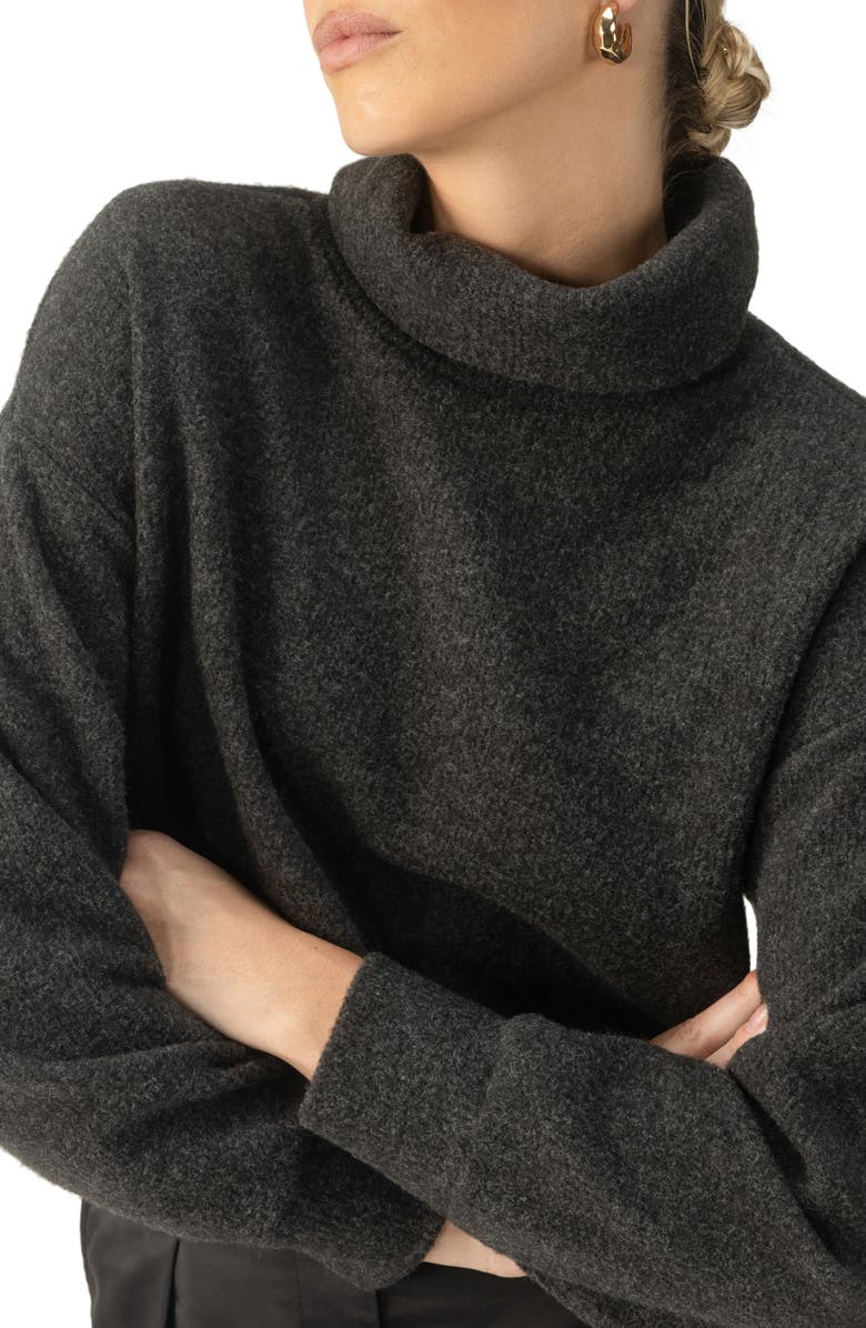 Sanctuary Everyday Cozy Knit Popover Top, Alternate, color,