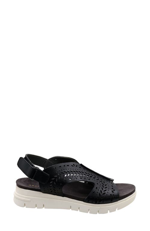 David Tate Moda Slingback Platform Wedge Sandal In Black