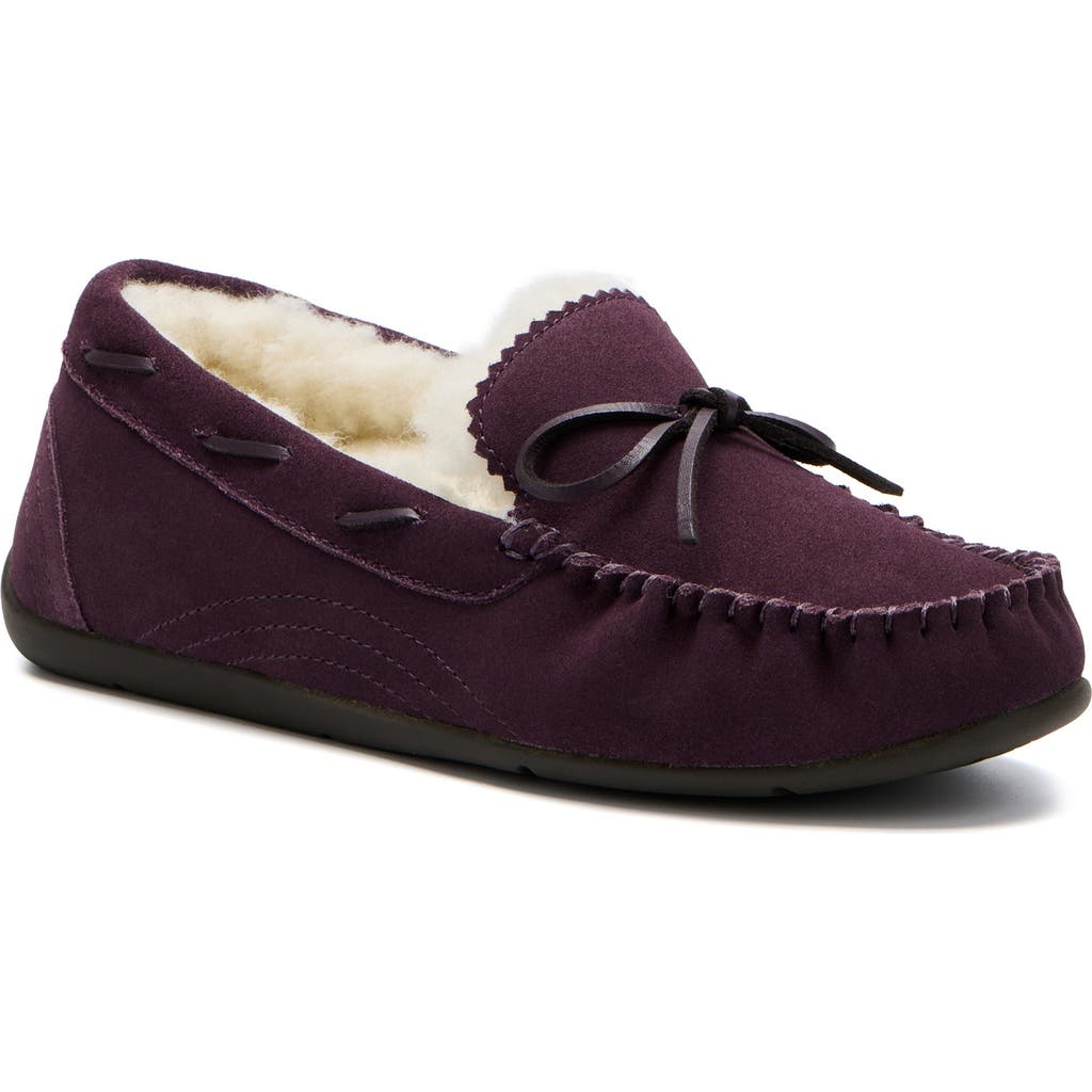 Abeo Amble Bow Slipper In Dark Purple - Regular