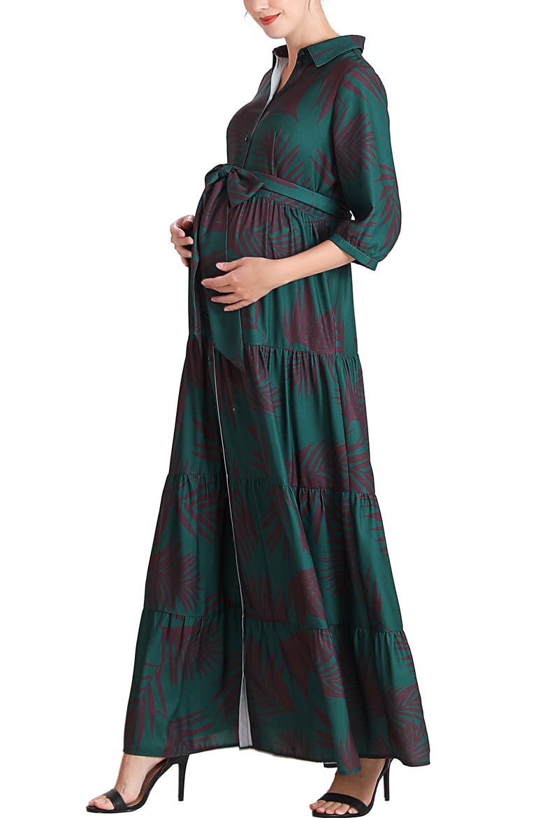 Abree Button Front Maternity Nursing Maxi Dress, Alternate, color, Multicolored