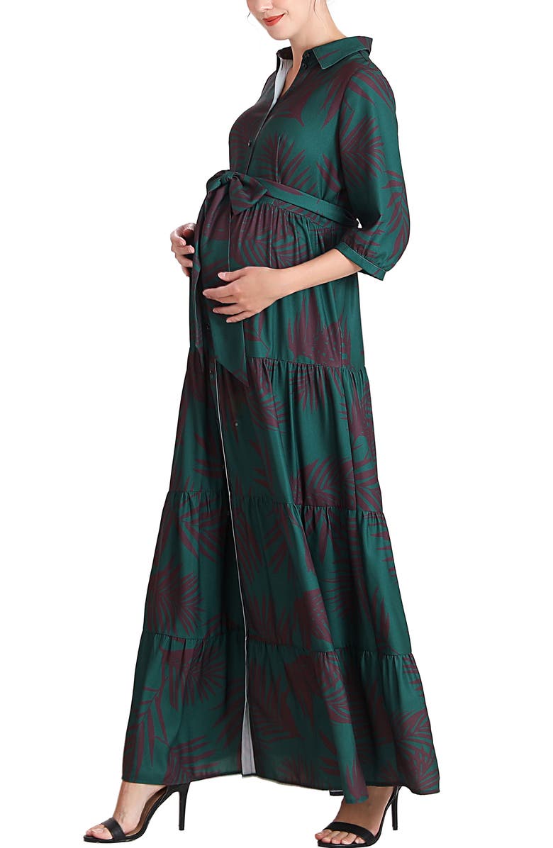 Kimi & Kai Abree Button Front Maternity Nursing Maxi Dress, Alternate, color, Multicolored