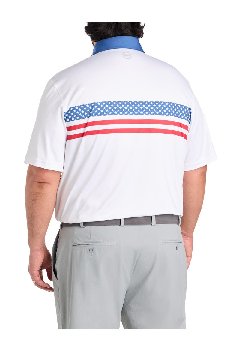 Big & Tall Americana Stripe Sankaty Performance Polo Shirt, Alternate, color, AMERICAN FLAG STRIPE