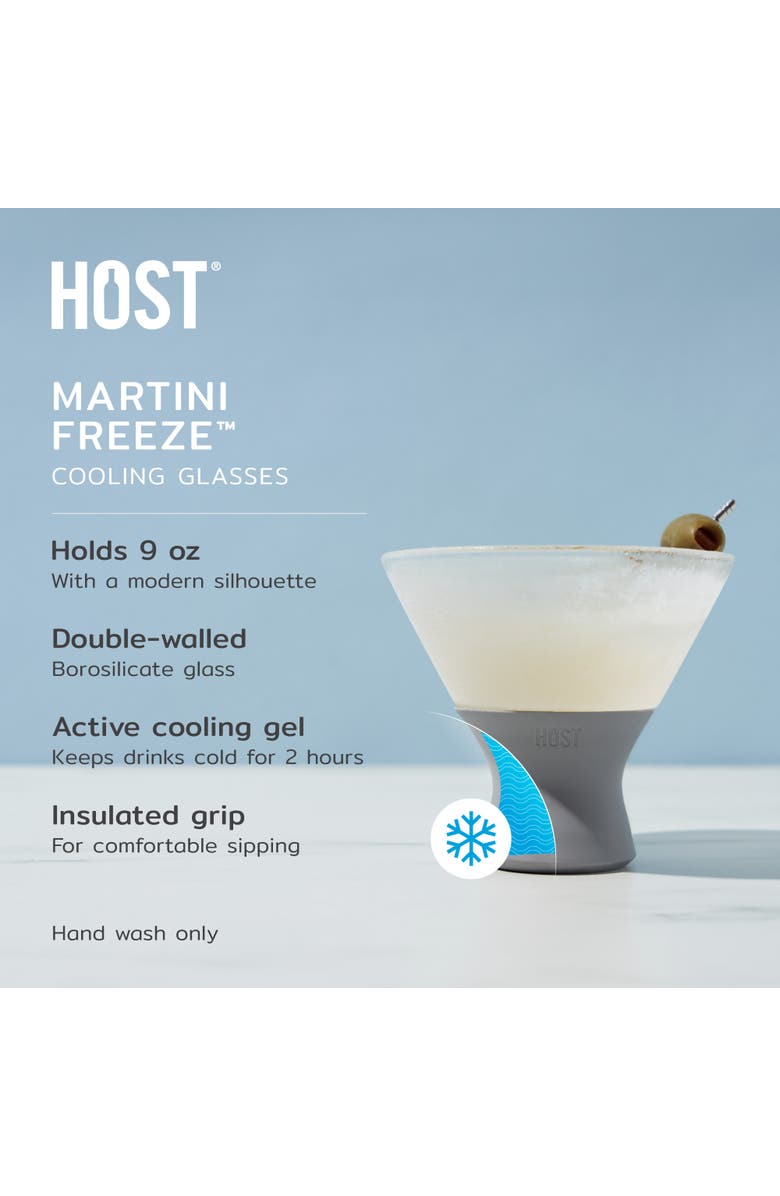 HOST Glass FREEZE Martini Cooling Cup Set of 2, Alternate, color, Gray