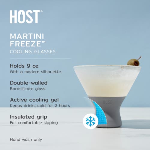 Host Glass Freeze Martini Cooling Cup Set Of 2 In Gray