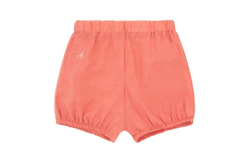 Vild House Of Little Organic Cotton Woven Bloomer Shorts In Coral-natural Madder Plant