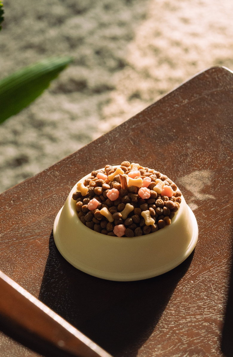 Southlake gifts Spoof Dog Food Bowl Candle, Alternate, color, Off-White