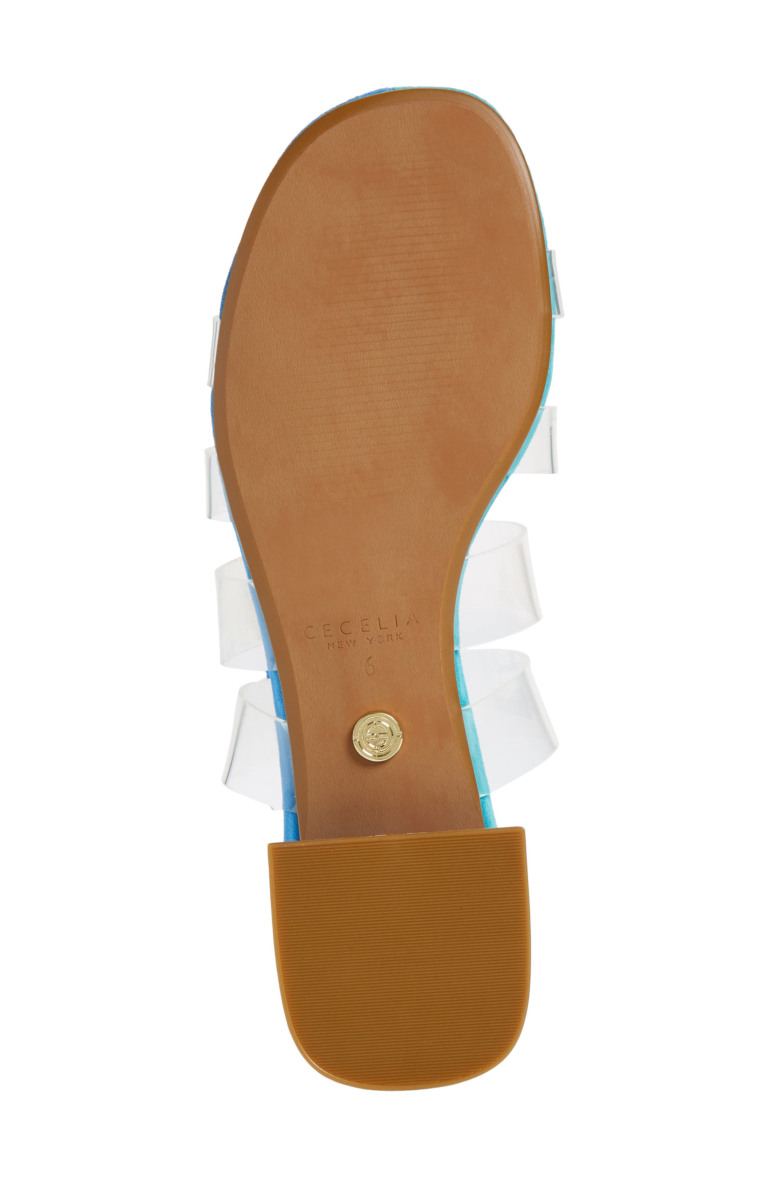 Lincoln Strappy Clear Slide Sandal, Alternate, color, NEW BLUE LEATHER