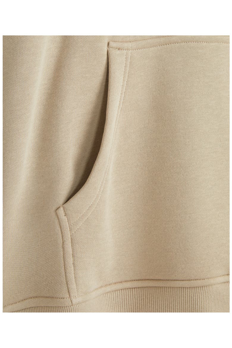 Relaxed Fit Embroidered Fleece Hoodie, Alternate, color, PLAZA TAUPE