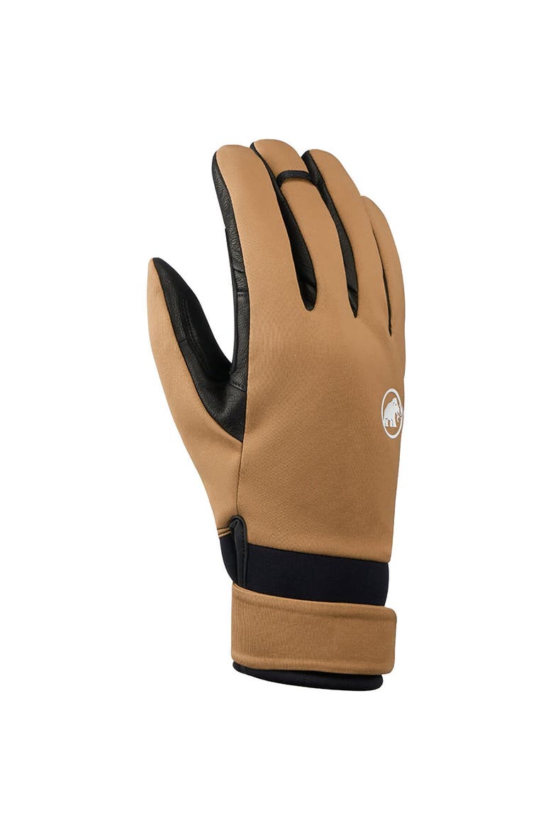 Astro Guide So Glove, Main, color, Claystone/Black