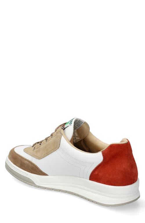 Mephisto Match Sneaker In Spice Mix