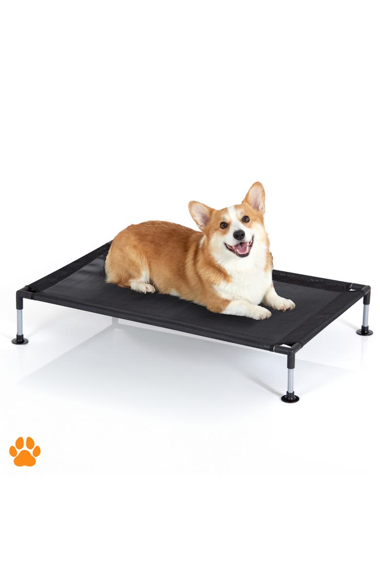 Pet Bed, 35.5 Inches x 23.5 Inches, Alternate, color, Black