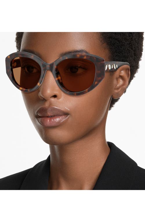 Swarovski 53mm Polarized Round Irregular Sunglasses In Brown