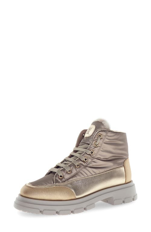 Candice Cooper Chado Genuine Shearling Lined Hiking Boot In Silver