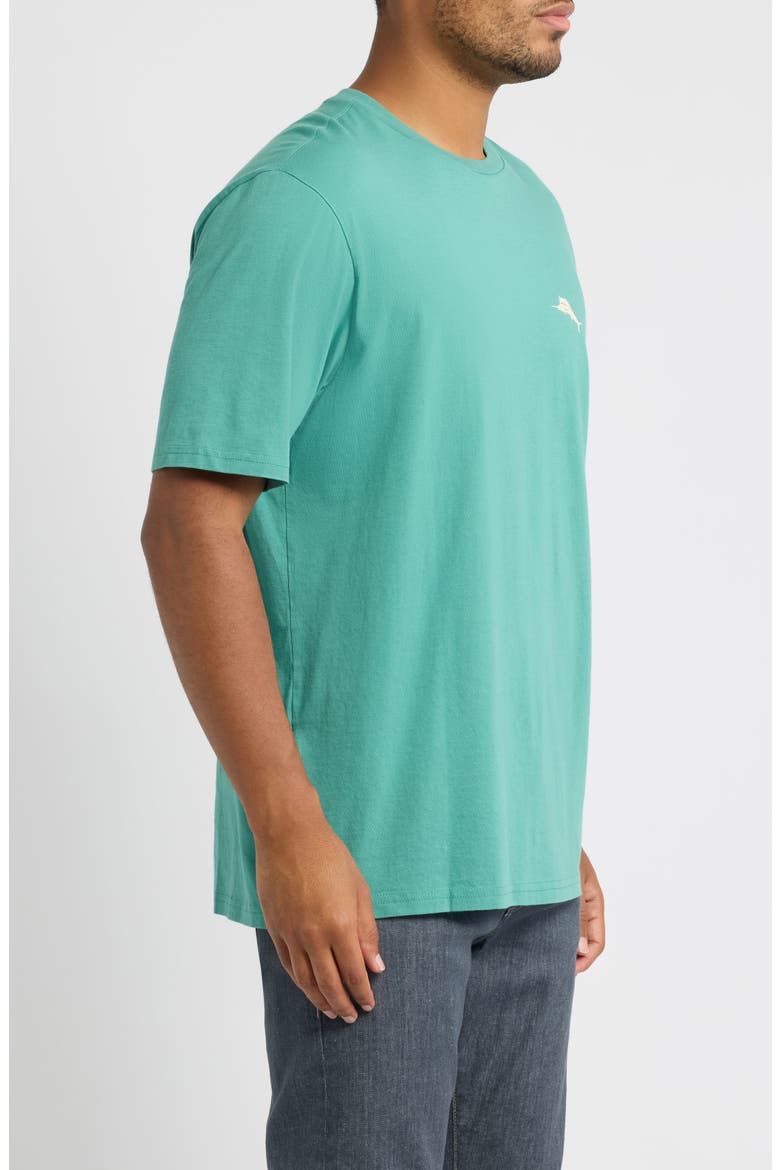 Golden Shores Graphic Tee, Alternate, color, ARUBA