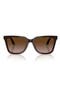  Shiny Transparent Brown/ Teal