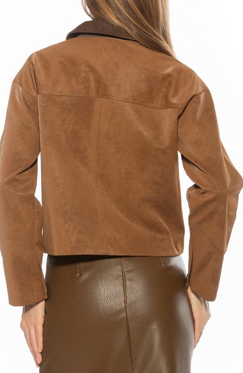 Alexia Admor Sorell Utility Jacket In Brown
