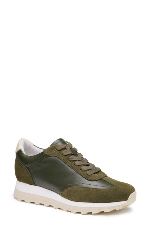 Johnston & Murphy Piper T-toe Sneaker In Olive Suede/glove Leather