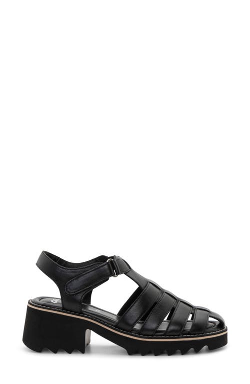 Ara Phoenix Sandal In Black