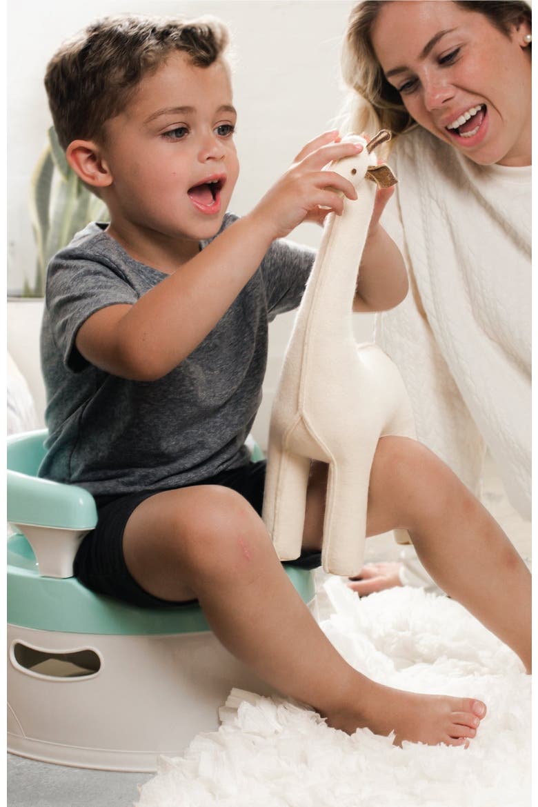 Handled Potty Chair, Alternate, color, Gray